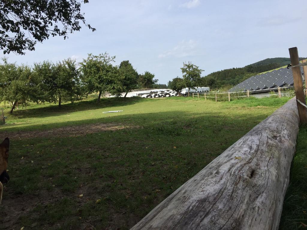 Ferienbauernhof Familie Stratmann Appartement Eslohe Buitenkant foto